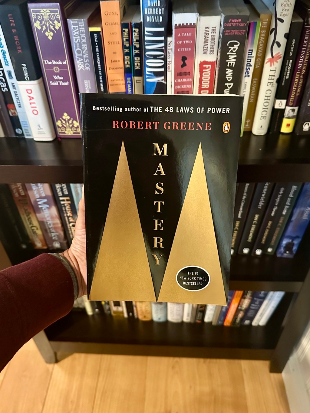 Using Books as&nbsp;Mentors