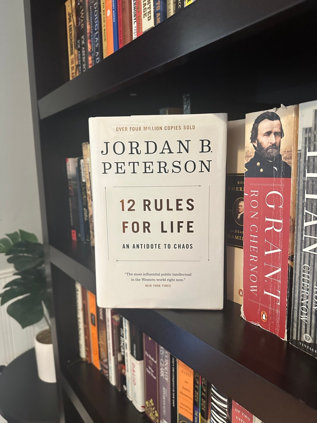 17 Key Lessons from Jordan Peterson’s 12 Rules for&nbsp;Life